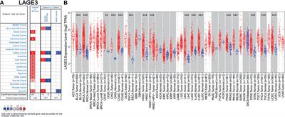 Analysis of L Antigen Family Member 3 as a Potential Biomarker and Therapeutic Target Associated With the Progression of Hepatocellular Carcinoma